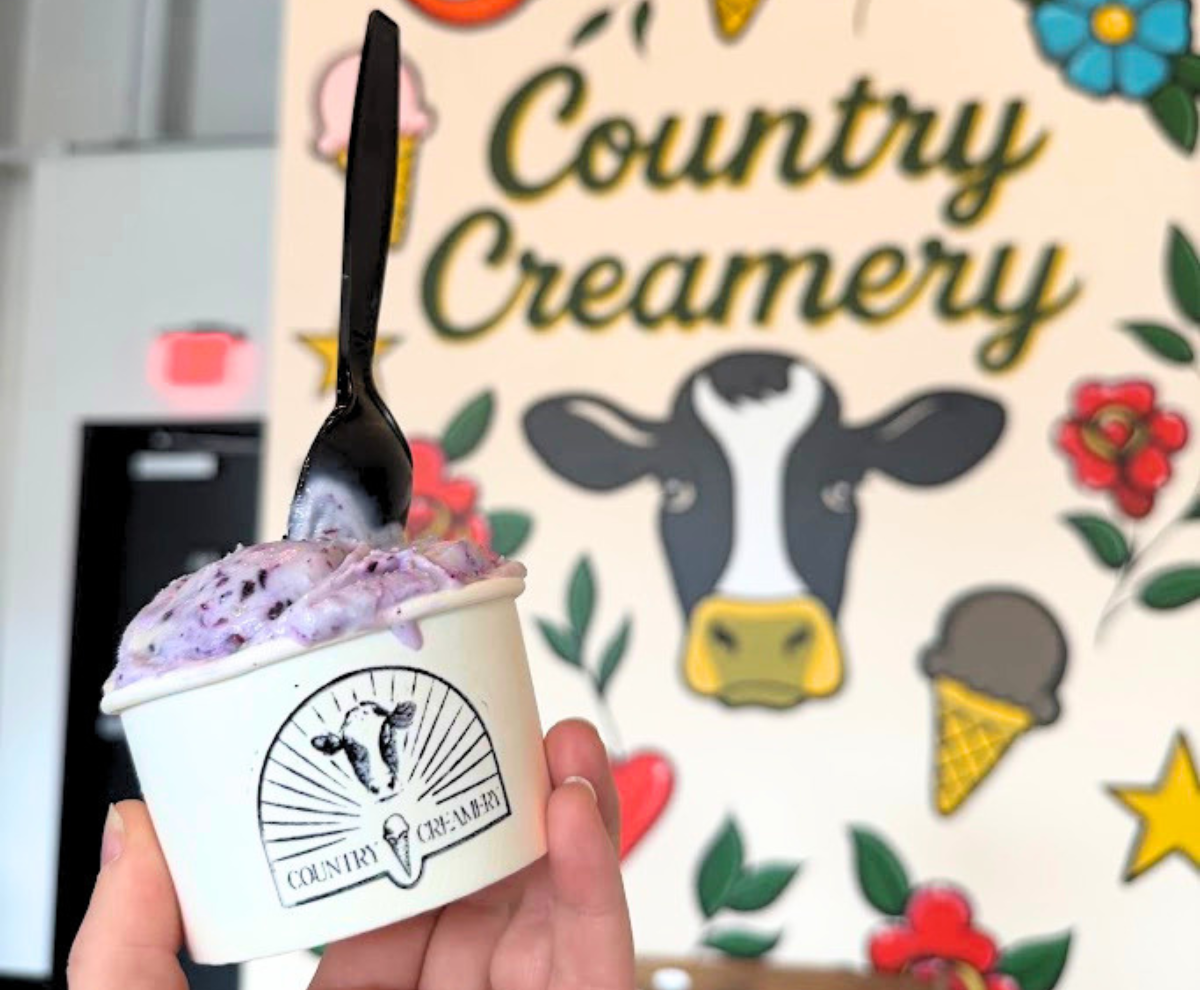 A hand holds a cup of Country Creamery Blueberry Lemon Muffin ice cream in front of the colorful Country Creamery mural.